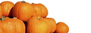 Holiday Decoration Ideas Prints: Pumpkins with space for text