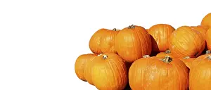 Autumnal Celebration Prints: Pumpkins with space for text