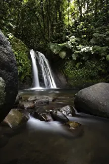 Prints of Pure nature, a waterfall with a pool in the forest. The Ecrevisses waterfalls, Cascade aux ecrevisses on Guadeloupe, in the Caribbean Guadeloupe Prints: Print of Ecrevisses Waterfall in Guadeloupe, French Antilles