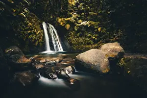Prints of Pure nature, a waterfall with a pool in the forest. The Ecrevisses waterfalls, Cascade aux ecrevisses on Guadeloupe, in the Caribbean Guadeloupe Prints: Print of Ecrevisses Waterfalls in Guadeloupe, Caribbean
