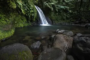 Prints of Pure nature, a waterfall with a pool in the forest. The Ecrevisses waterfalls, Cascade aux ecrevisses on Guadeloupe, in the Caribbean Guadeloupe Prints: Ecrevisses Waterfall Print, Guadeloupe, French Antilles