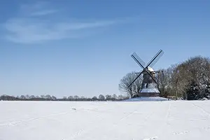 Historic Windmill Germany Prints: Quantwick mill in winter, historic windmill