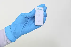 Contagious Disease Testing Prints: Quick test Chlamydia from ProLine