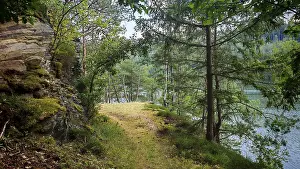 Thuringia Hiking Trails Prints: A quiet forest trail, surrounded by trees and rocks