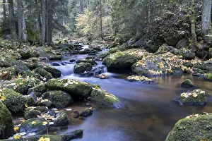 European River Landscape Photography Prints: A quiet stream flows through the forest