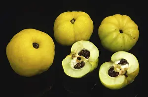 Fruit Nutrition Facts Prints: Quinces