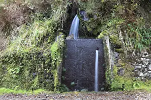 Deserted Forest Path Prints: Rabacal excursion area, the Levada do Risco to the 25 Fontes