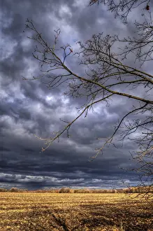 Cloudy Weather Prints: Rain clouds, sun rays, twilight