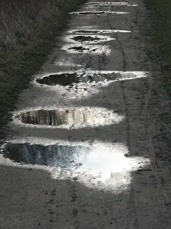 Rainy Weather Prints: Rain puddles
