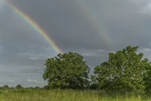 Rainbow In Rain Clouds Prints: Rainbow appears in rain clouds in spring