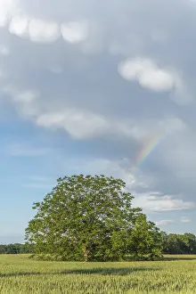 Prismatic Colors In Europe Prints: Rainbow appears in rain clouds in spring