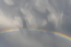 Rainbow In Rain Clouds Prints: Rainbow appears in rain clouds in spring