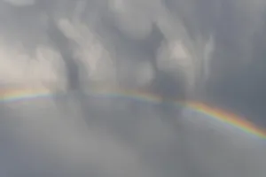 Rainbow In Rain Clouds Prints: Rainbow appears in rain clouds in spring