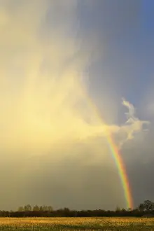 Rainbow In Cloudy Sky Prints: Rainbow on a cloudy sky, Achim