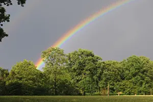 Lower Saxony Agriculture Prints: Rainbow over a cornfield, Vechta