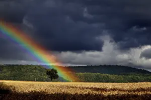 German Democratic Republic History Image Prints: Rainbow over field in the Werratal
