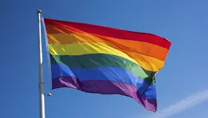 Rainbow Flag Prints: The rainbow flag flutters in the wind