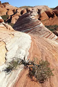 Valley Of Fire State Park Prints: Rainbow Wave, Valley of Fire State Park