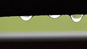 Text Free Space Photo Prints: Three raindrops hanging on the window frame
