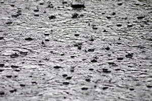 Water Droplets Prints: Raindrops, puddle, water, gray