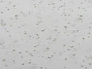 Rainy Day In Europe Prints: Raindrops on a water surface, Germany