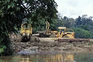 Deserted Rainforest Landscape Prints: Rainforest deforestation, Borneo