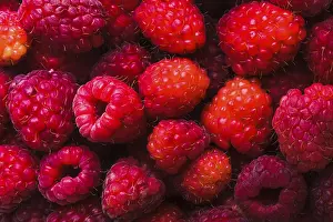 Deserted Food Scene Prints: The raspberries close up as a background
