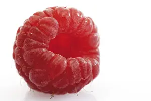 Fresh Raspberries Prints: Raspberry