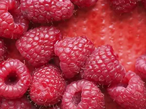 Berry Nutrition Facts Prints: Raspberry fruit food