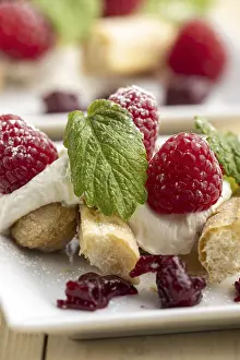Empty Dessert Plate Prints: Raspberry tiramisu on a plate