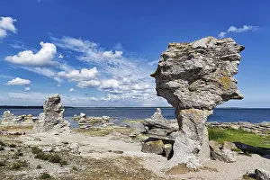 Raukar Limestone Columns Prints: Raukar, bizarre limestone columns