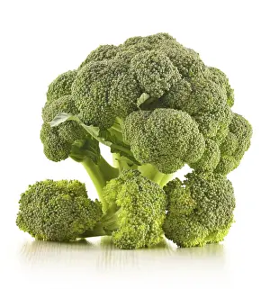 Studio Shot Cabbage Prints: Raw broccoli isolated on white