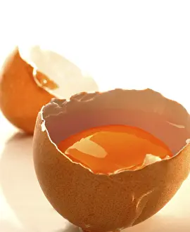 Egg Yolk Nutrition Facts Prints: Raw egg, broken open, shell
