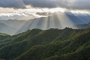 Southern Europe Mountainous Landscape Prints: Rays of light on the forests in the Apennines after a storm