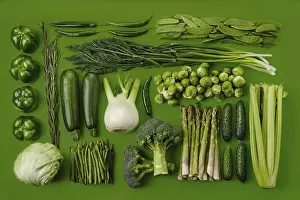 Vegetable Composition Prints: Rectangular composition with various green vegetables on green background