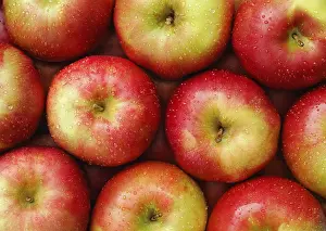 Red Apples Prints: Red apples