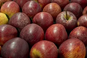 Empty Studio Background Image Prints: Red apples