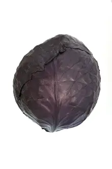 Red Cabbage Prints: Red cabbage, red cabbage, blue cabbage