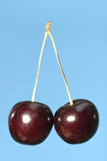 Wild Cherry Prints: Red cherries