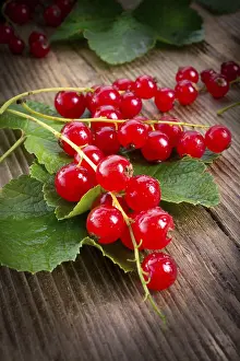 Appetizing Desserts Prints: Red currants