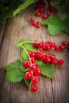 Healthy Eating Prints: Red currants
