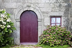 Deserted House Entrance Prints: The Red Door