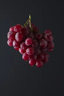 Dark Colored Background Photos Prints: Red grape branch on black background