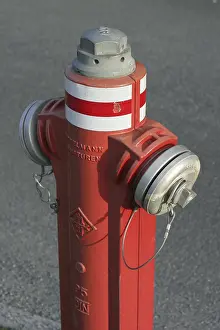 Fire Department Equipment Prints: Red hydrant