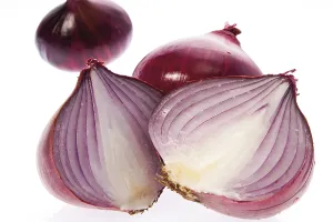 Studio Shot Food Images Prints: Red onions