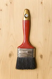 Clipping Path Services Prints: Red paintbrush