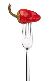 Isolated Red Pepper Prints: red pepper on a fork. Isolated on a white background