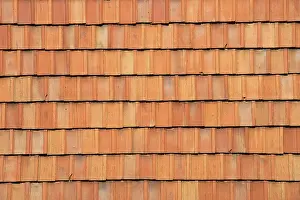 Tiled Roof Architecture Prints: Red rooftiles
