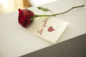Prints of Red rose with the note 'bis spater', German for 'see you later', Mannheim, Baden-Wurttemberg, Germany Red rose with the note 'bis spter' Mannheim Prints: Red Rose with 'bis spater' Print, Mannheim, Germany