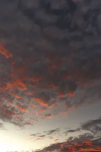 Red Clouds Germany Prints: Red shining clouds in the evening sky